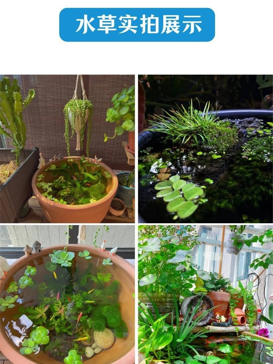 e800f11f-63d3-42ff-8c86-1ffb5c1230d2.jpe