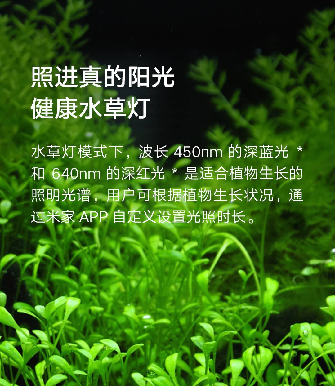米家智能鱼缸详情页- (22).JPEG