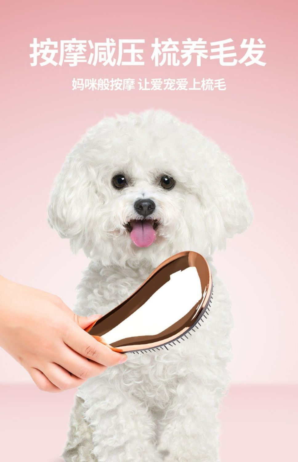 aaf0dbb7-51bb-4527-bd6e-9dda1707579d.jpe