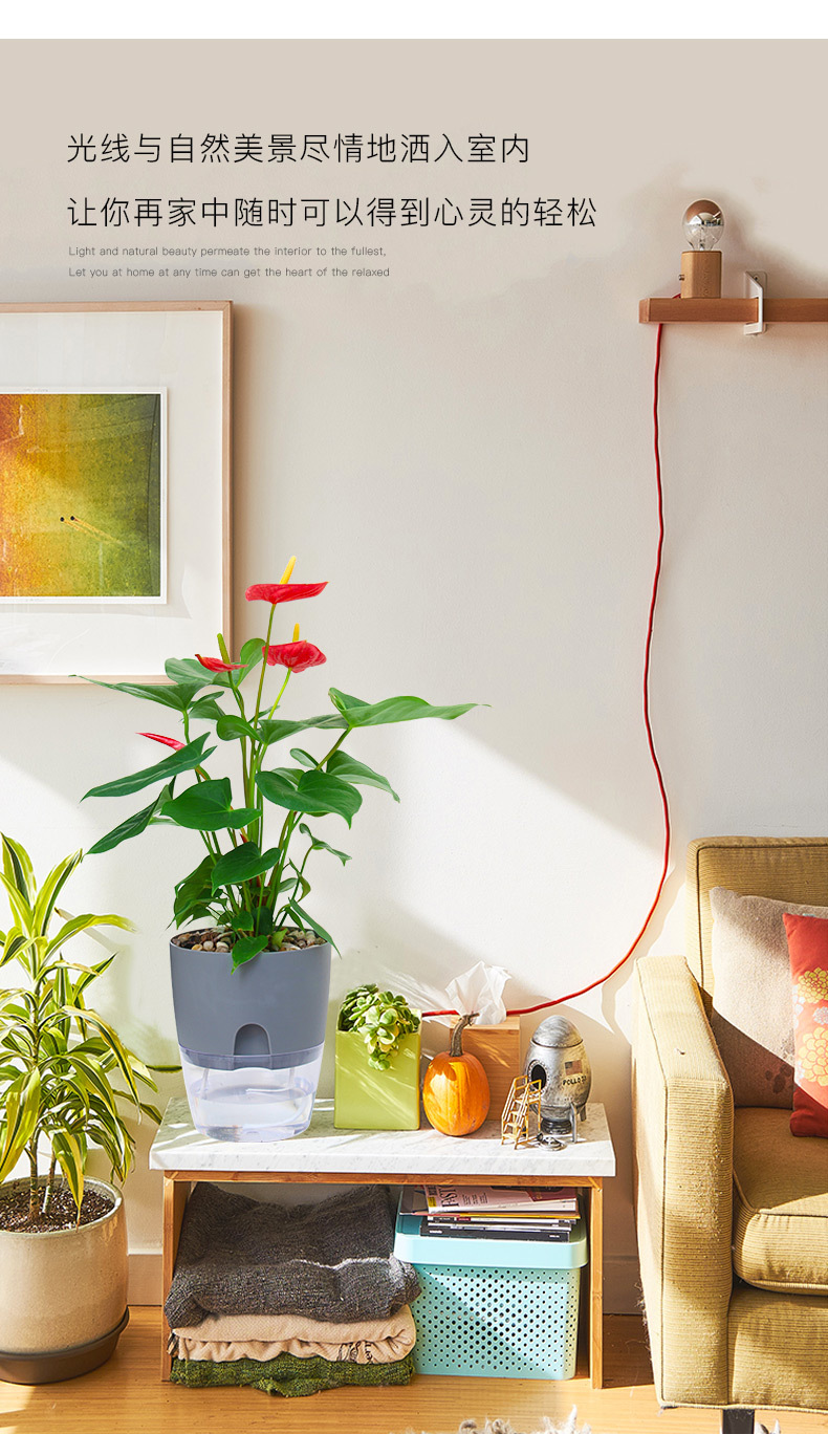 AS高透明系列_10