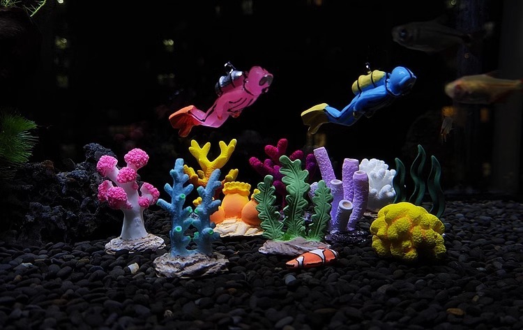 55c59226-fd50-4e61-a1e9-9d05c40c9a73.jpe