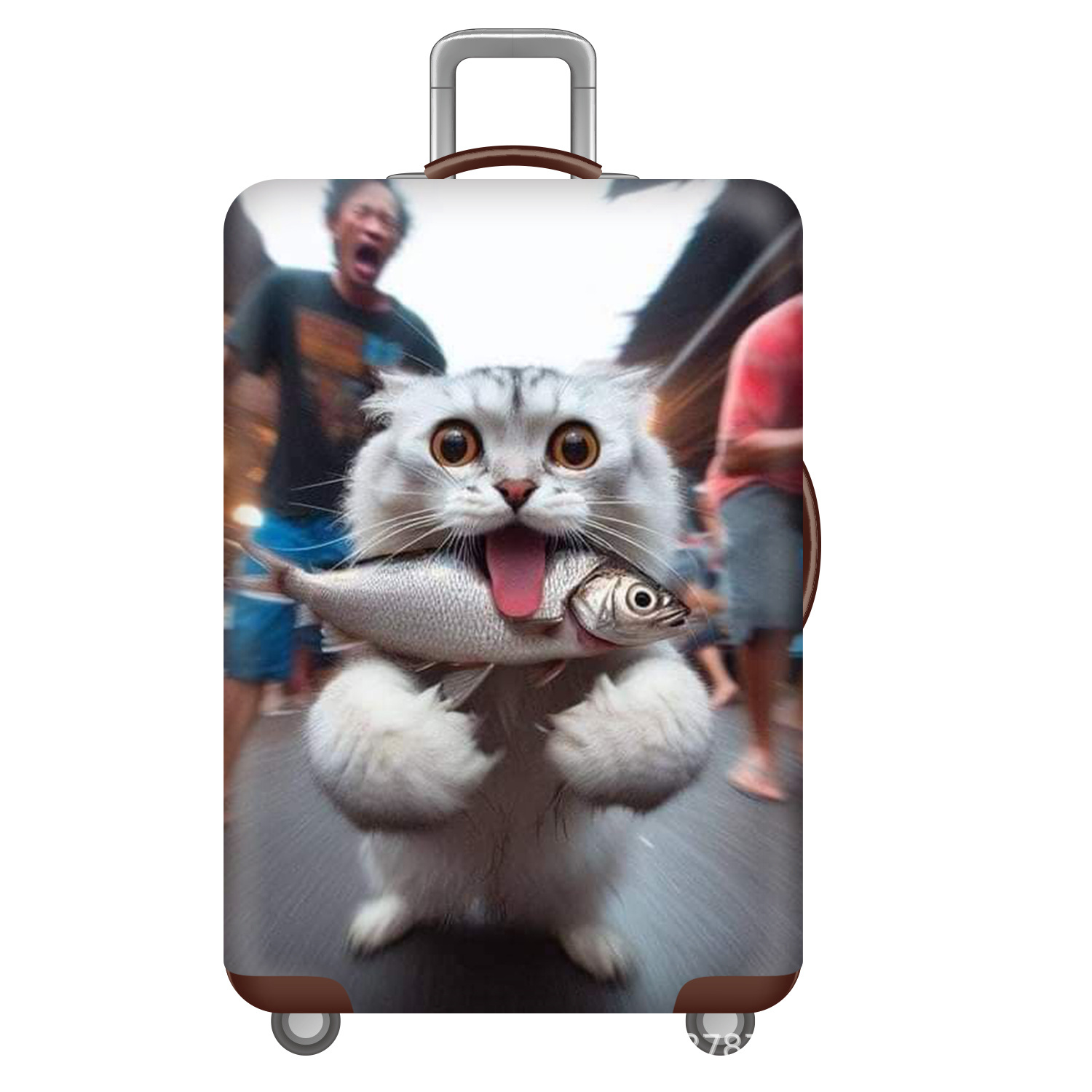 猫抢鱼.jpg