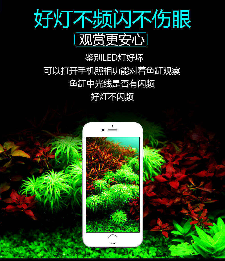 e664675b-4598-489a-904c-0975378c1d66.jpe