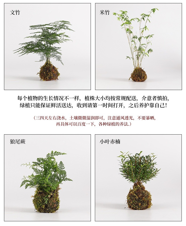 10e0147c-369d-4786-a700-928f0c4c78f6.jpe