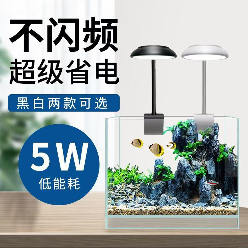 56b19230-5cec-4b7b-85ed-e56a56b4897a.jpe