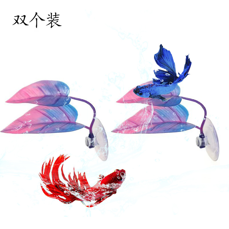 微信图片_20240618163802