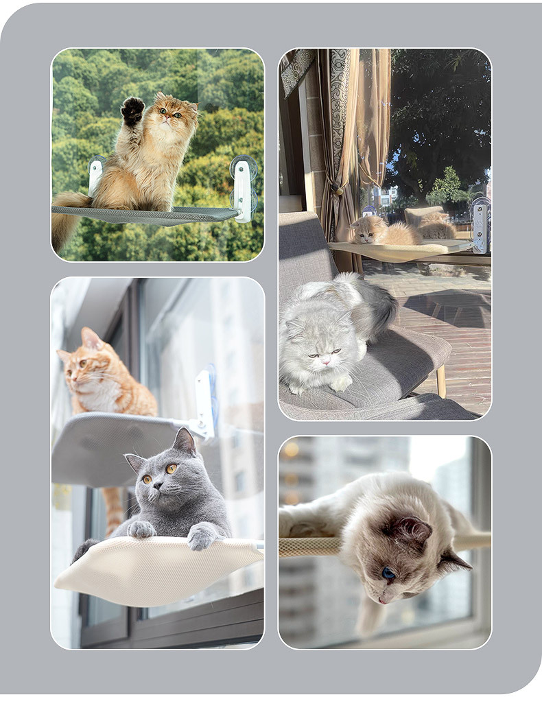 猫吊床-详情_17