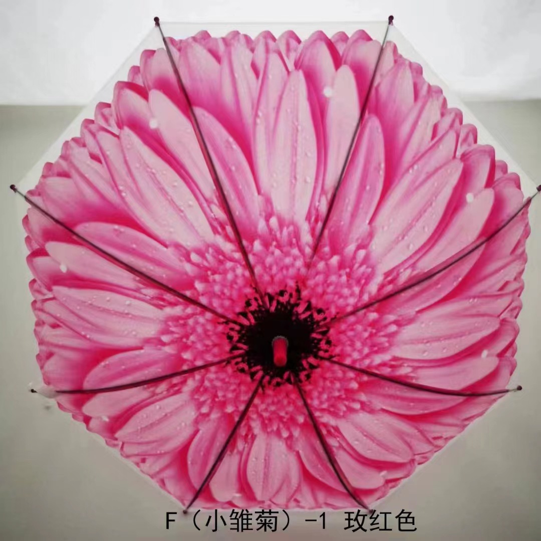 aff63e4f-cb2c-4b9e-95f8-caee27