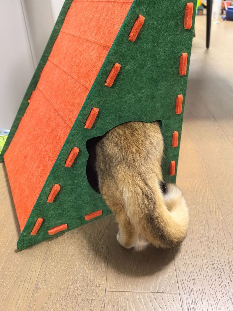 b0637f01-6010-44c6-925b-3a058d0d1581.jpe