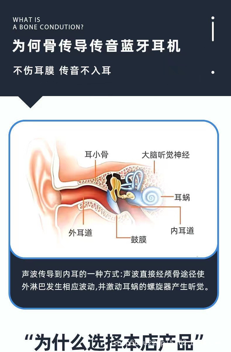 、骨1.jpg?x-oss-process=image/format,png