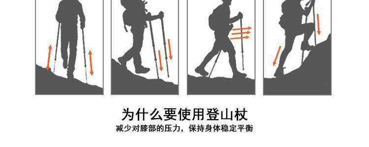 98d24d33-1d45-41ce-9c8c-67d14ade804d.jpe