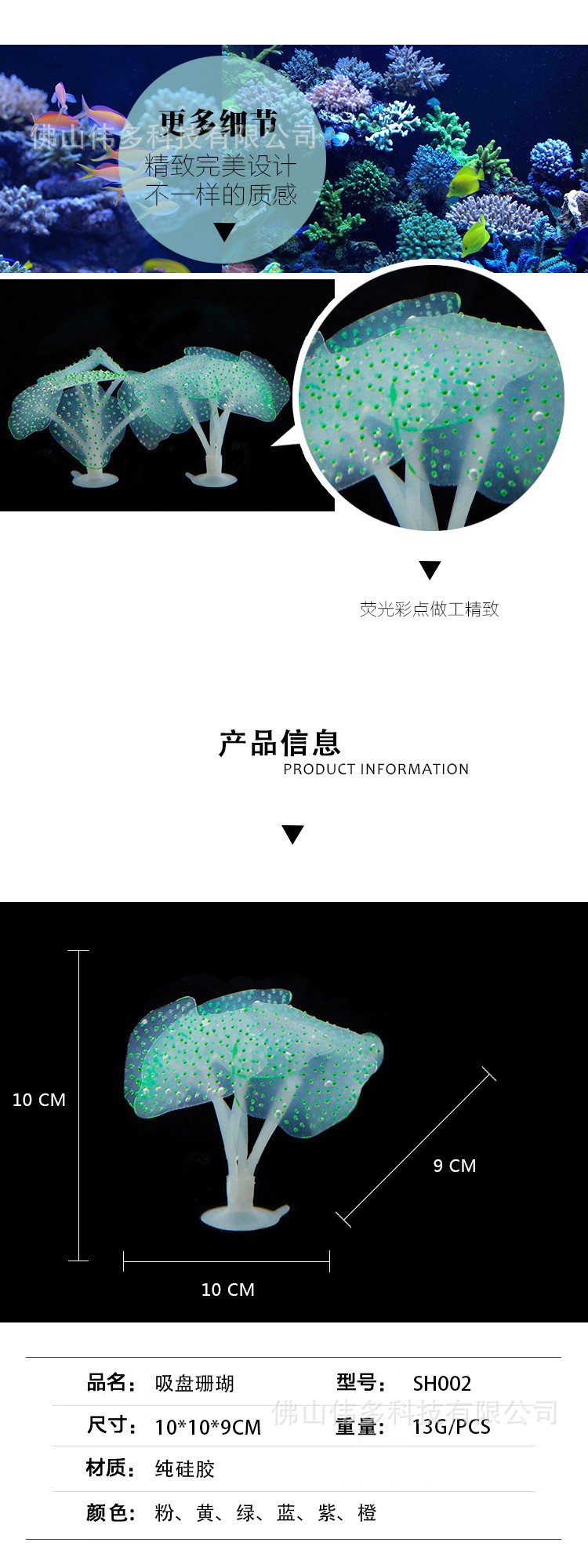 2301511034_1708518238.jpg