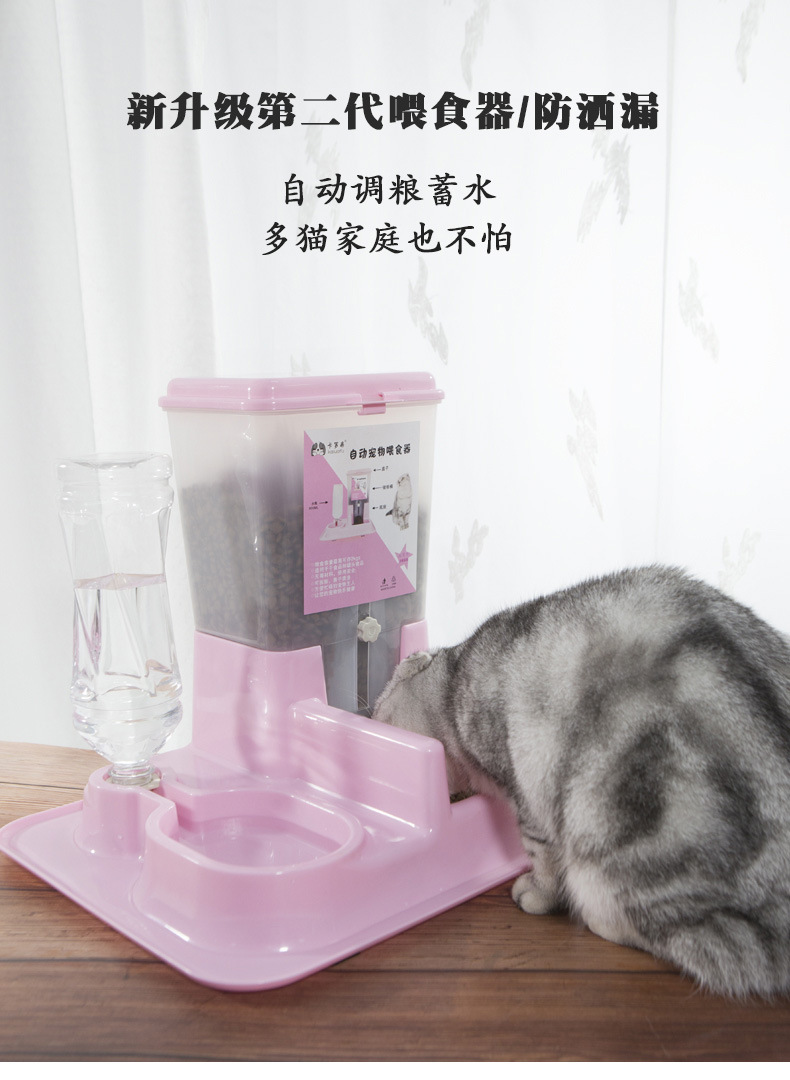 猫_01.jpg
