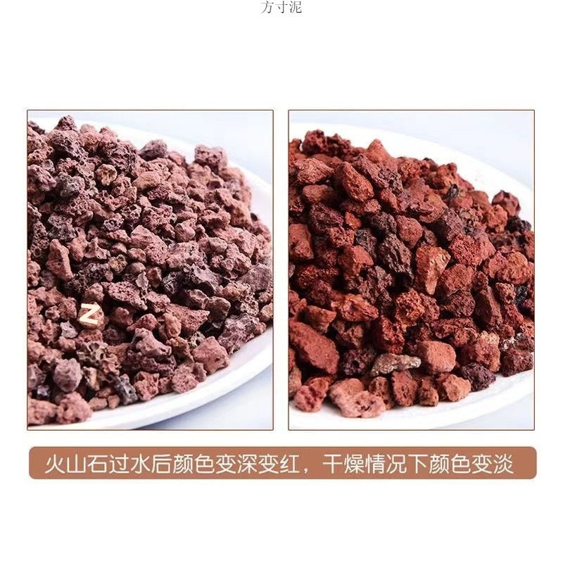 2f6d2d63-ca51-46c0-9a3d-9daf74e7fdd5.jpe