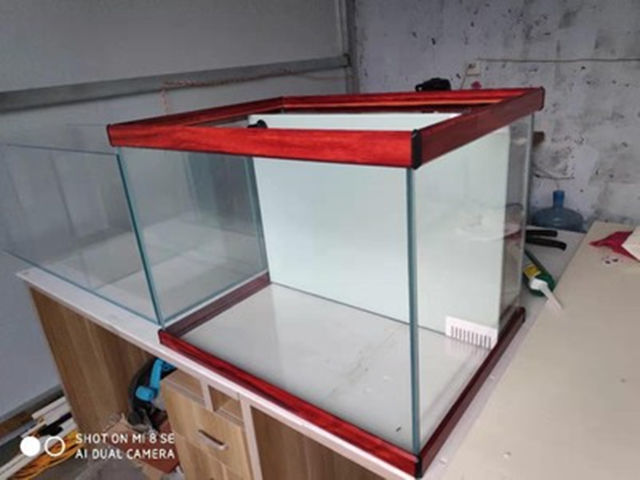 03b3da9e-345b-4a31-a57a-12a7614ab107.jpe