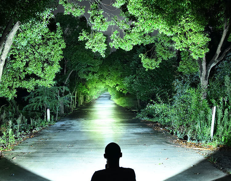 f7807156-63cb-42bc-8f1b-c570f09acda2.jpe