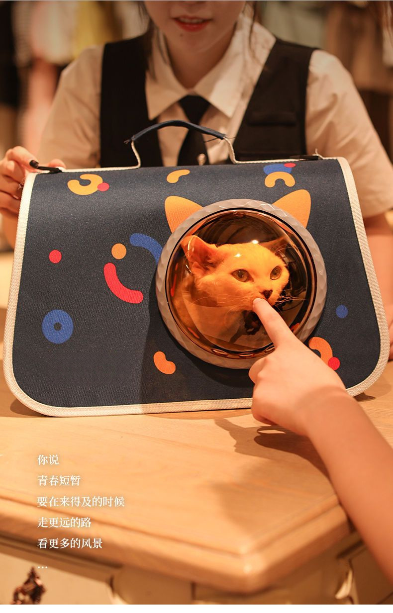 4091c2ee-532f-4f27-ac48-c52c085ca932.jpe