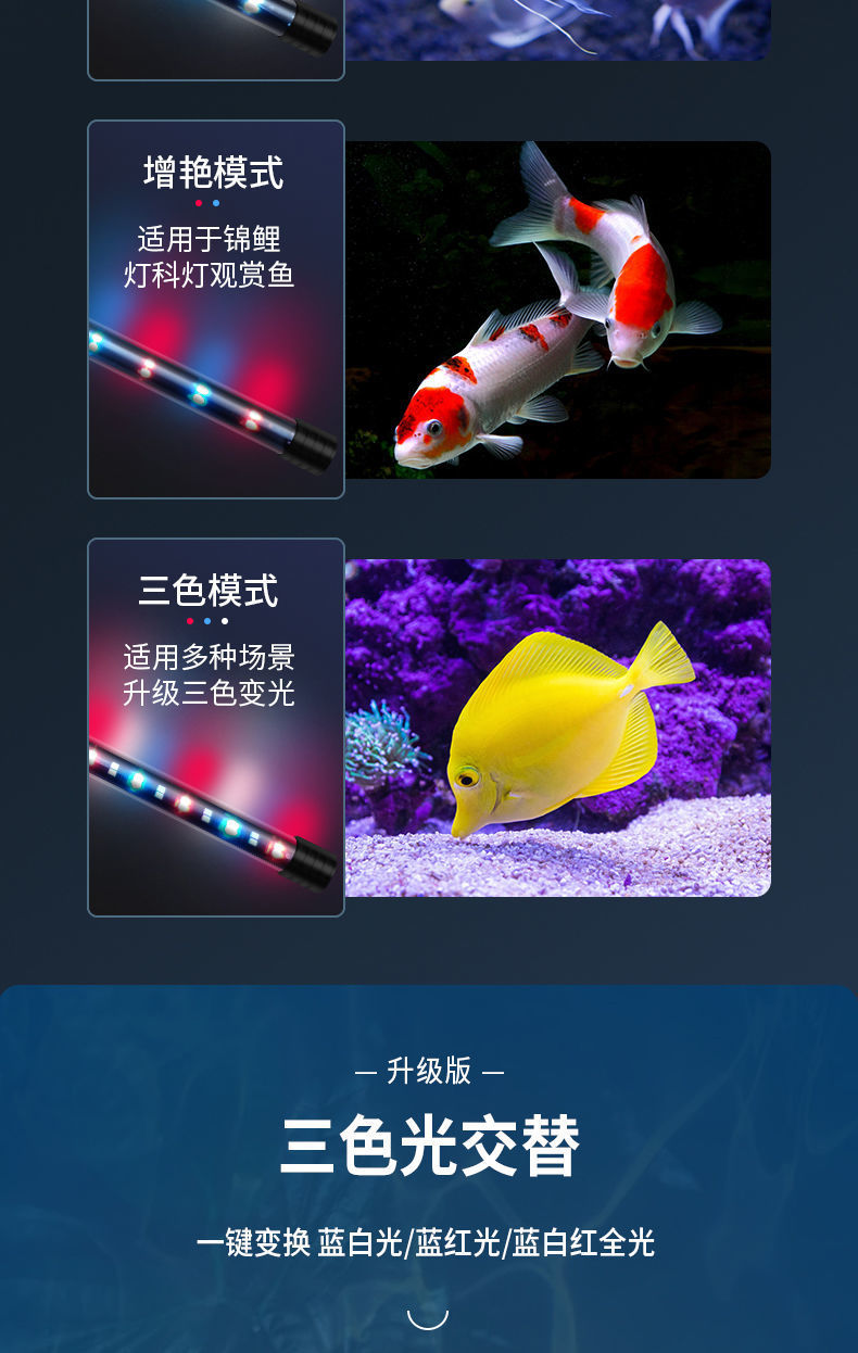 ba67f61d-7e2a-435e-8987-c09c8f35a719.jpe