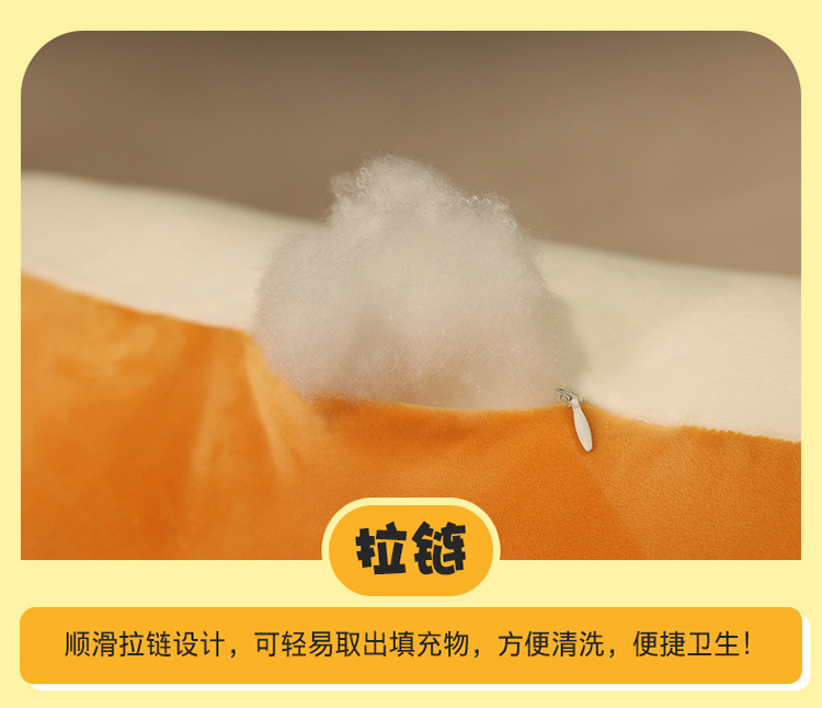 47-毛老师抱枕