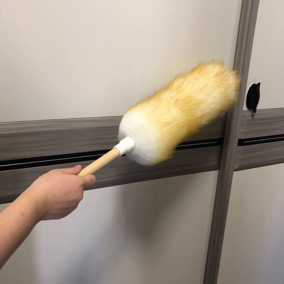 effd06a1-81b9-4c54-be32-c65b581fc1e6.jpe