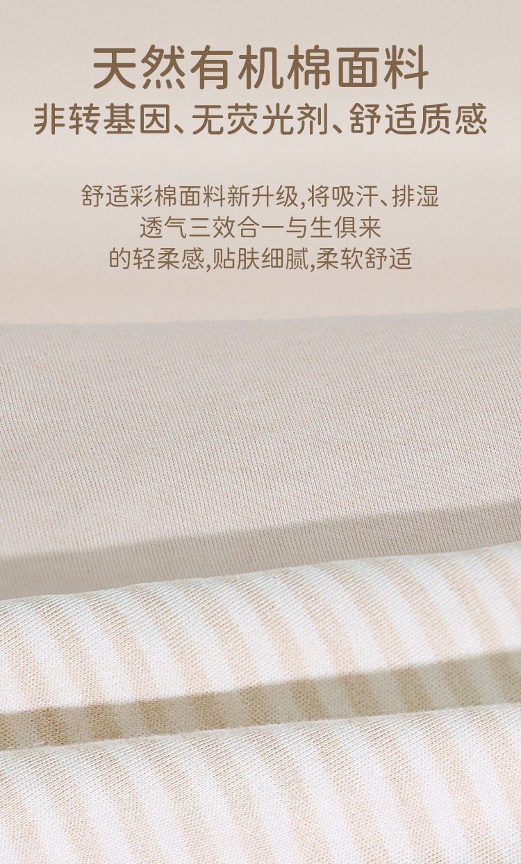 xq_11 (2)