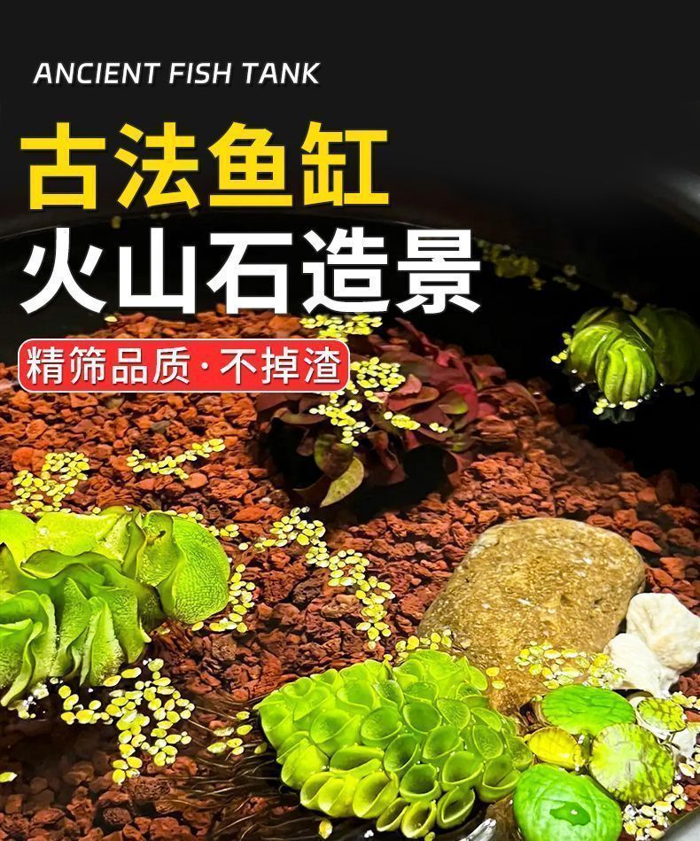 c902de76-d876-43b7-9ac5-316363d8e00e.jpe