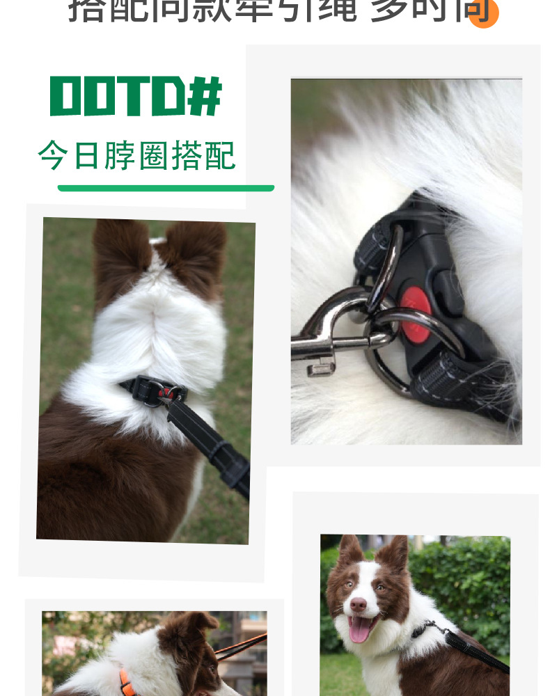 狗绳_10.jpg
