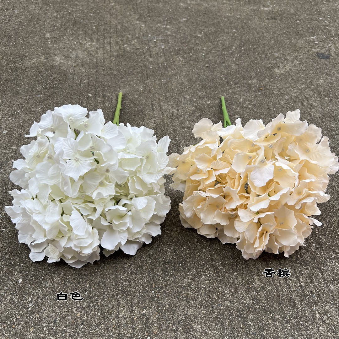 微信图片_20220818113626