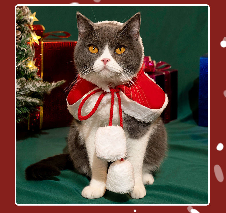 062c17ad-ffcf-41e1-ada2-cf334f038b6e.jpe