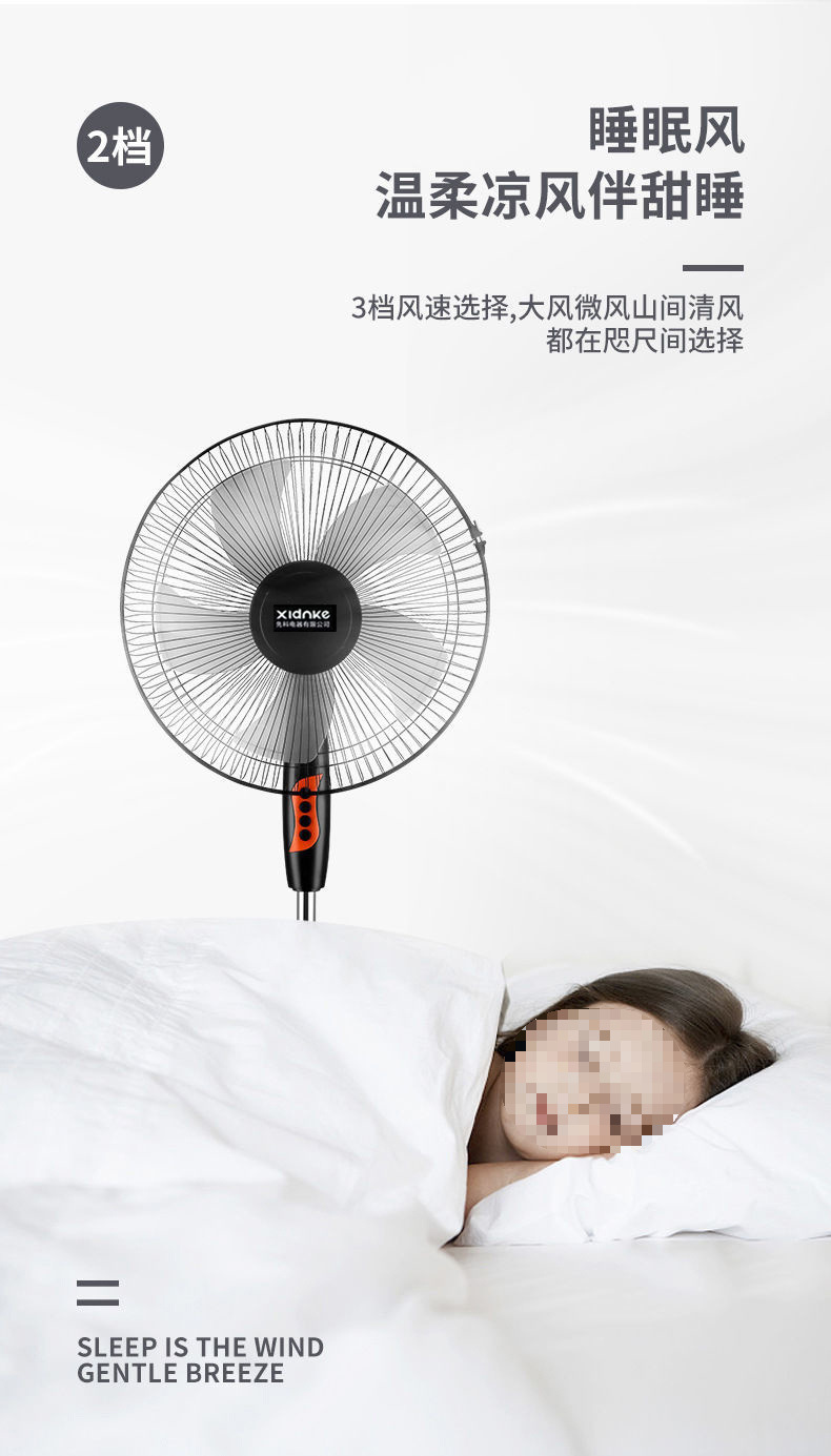 b2f9250e-e9c8-4f83-bdcb-bc145eafcab1.jpe