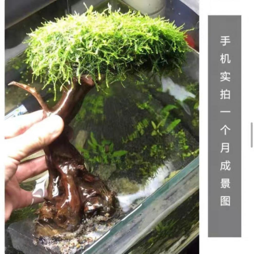 a4c2a5c8-1eda-4ca9-853b-3390af7fc4c9.jpe