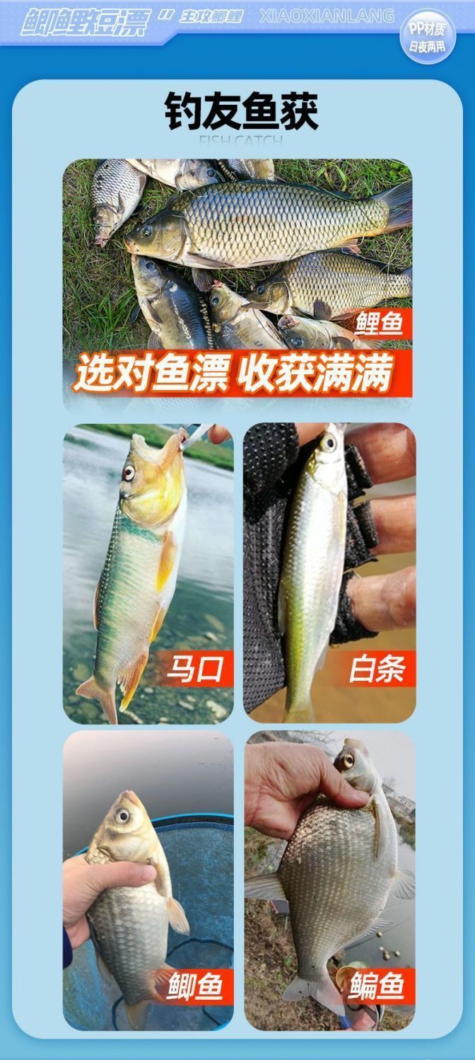 ef4404f6-23af-4a64-9066-0c4f28e4dd49.jpe