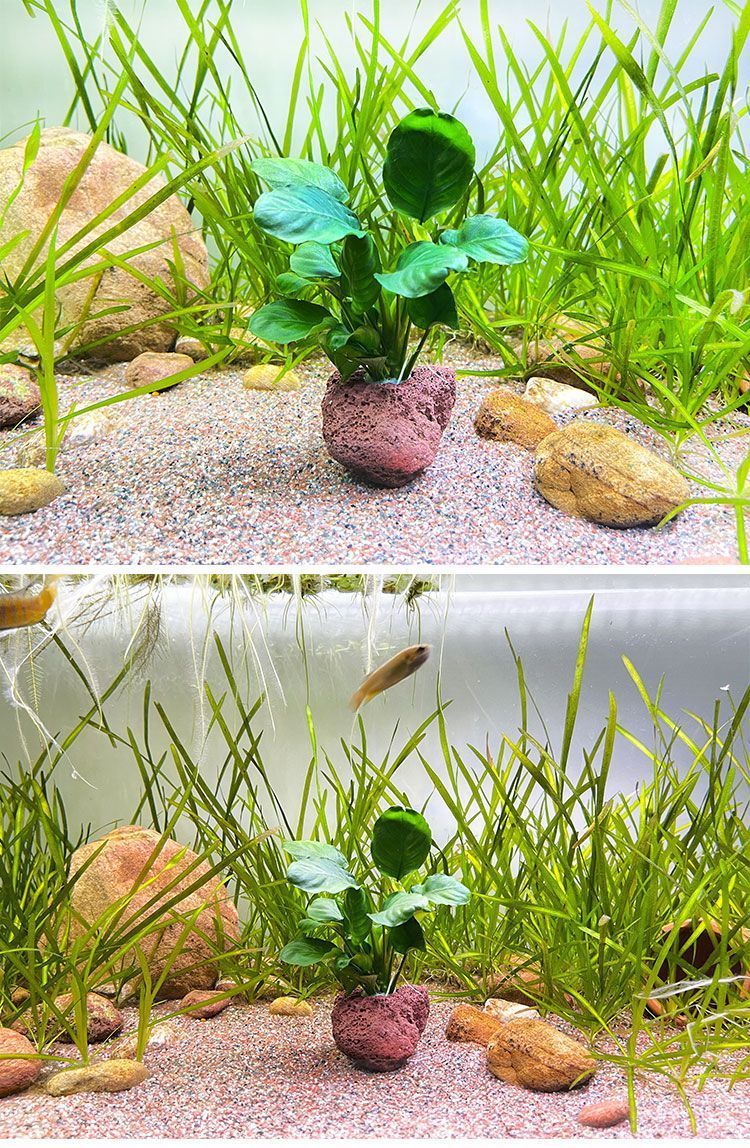 e002df3c-45bd-4a99-8342-cfb0b87150bd.jpe