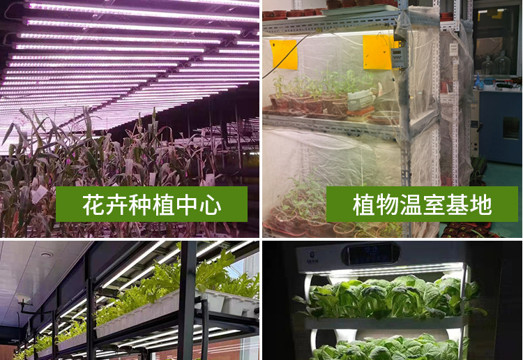 详情页--改_17.jpg