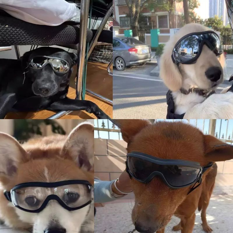 2ddbfd6c-1b3b-4307-b013-a0e8e220f2a6.jpe