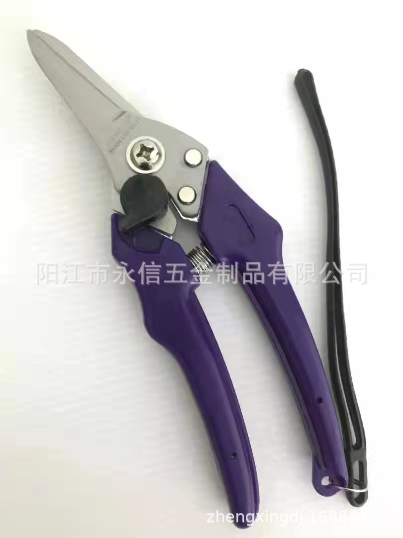 微信图片_20211026161545