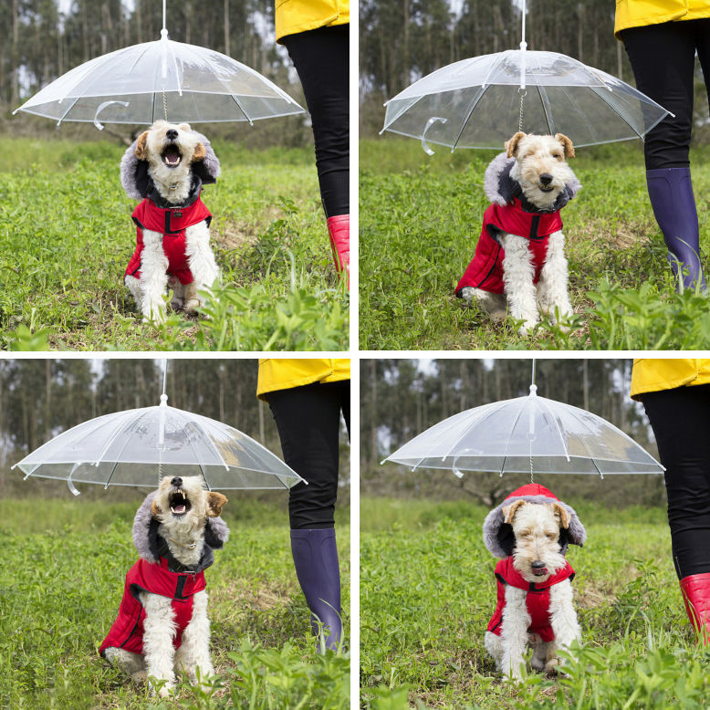 abfdd9f7-fe46-45a6-a221-38b90f3ab714.jpe