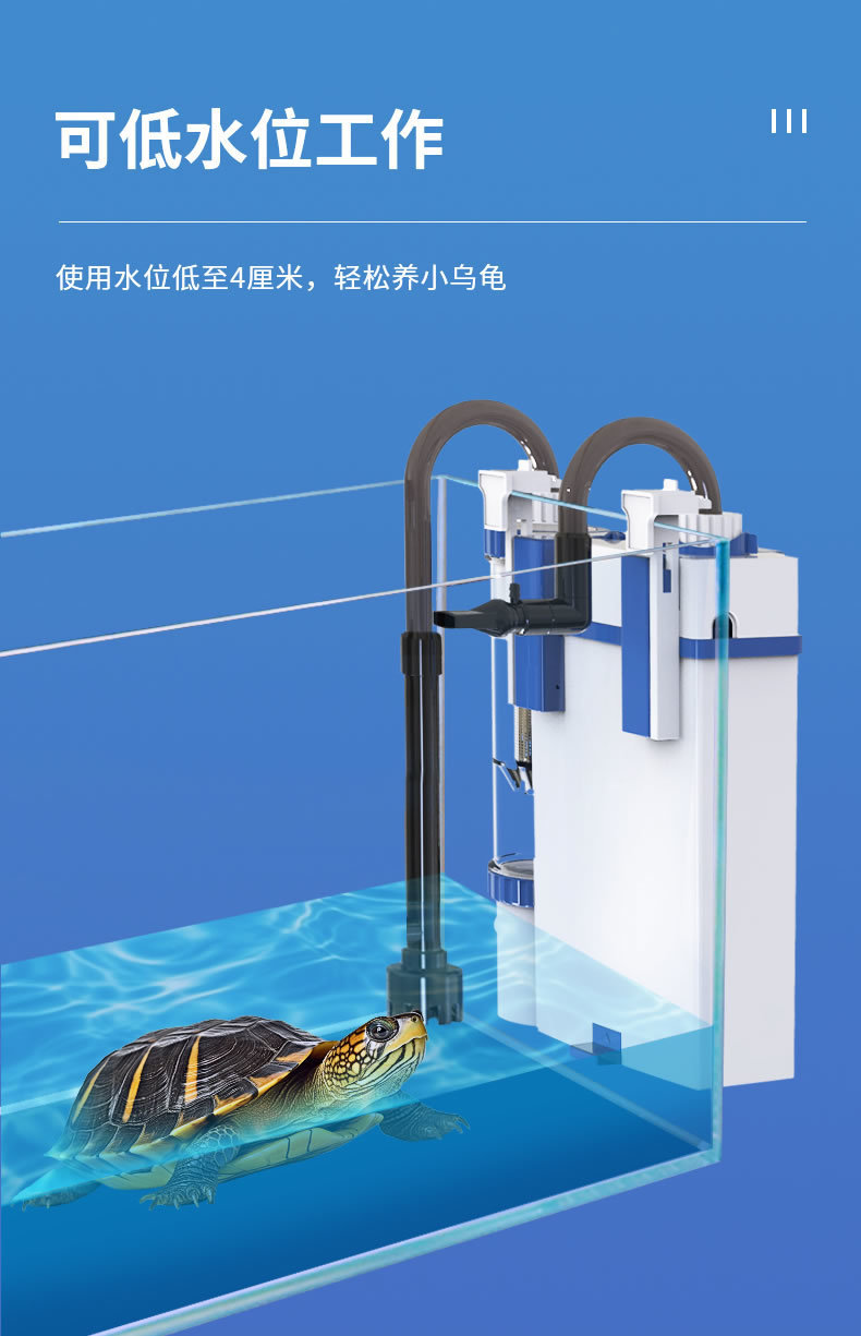 dc77a119-1760-435c-9e85-530ee0d5ca73.jpe