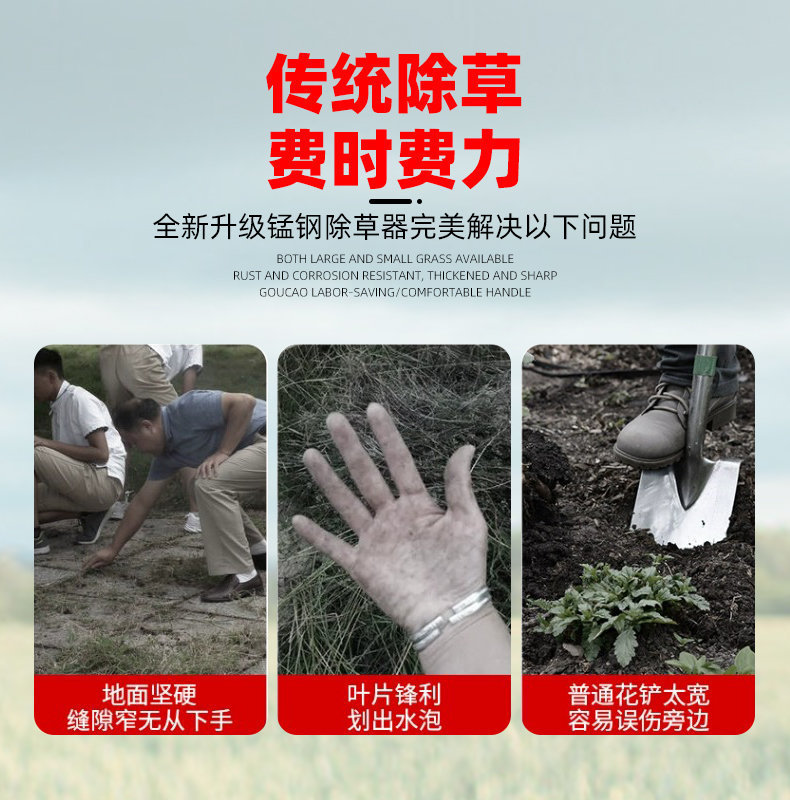 34889e2b-f884-4772-baf9-9eb49181eab8.jpe