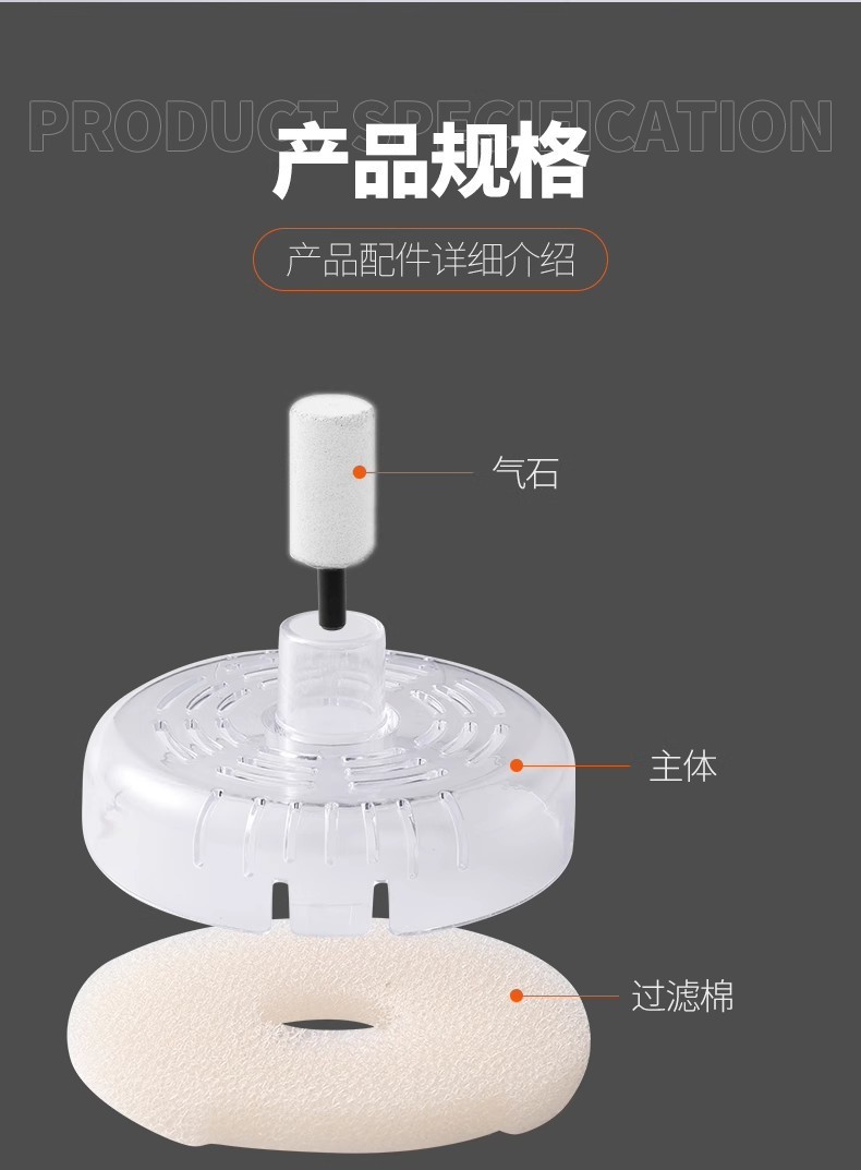 01160795-c359-4fbe-bd21-67d1e9f83926.jpe