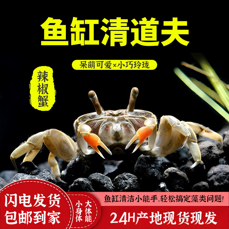 b979ffa7-47f2-4cc8-b057-acb5a7fea8b9.jpe