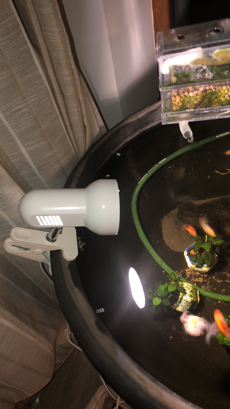 O1CN011Jg96rKtgo0WWcL_!!0-rate