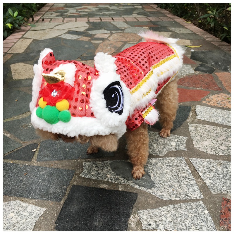 紅舞獅模特圖 (5).jpg