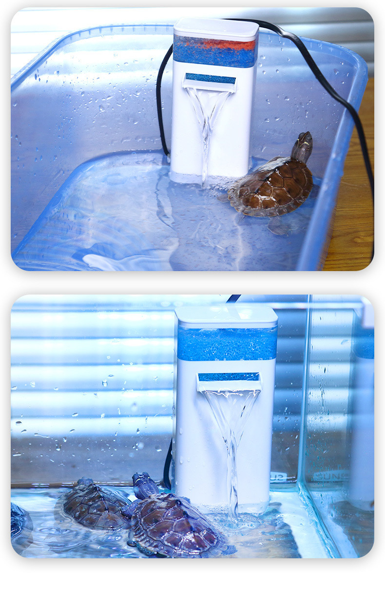 cf934bda-1dfd-4730-aa13-096b7fefcd4d.jpe