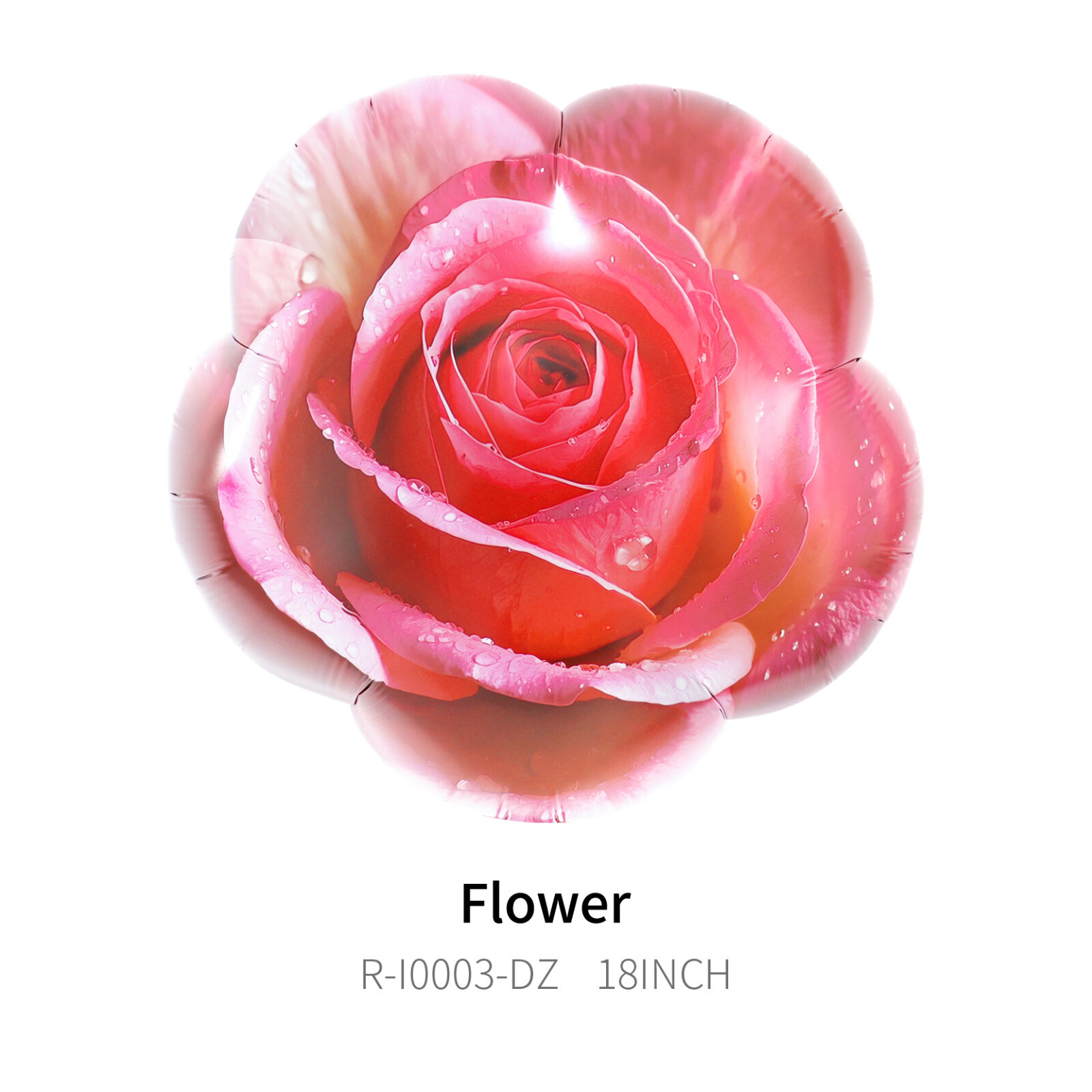 82cf4f74a0fa084ad9d20c8fae8ac3