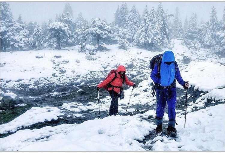 df5ea563-b760-4200-a288-9d1ca08c46be.jpe