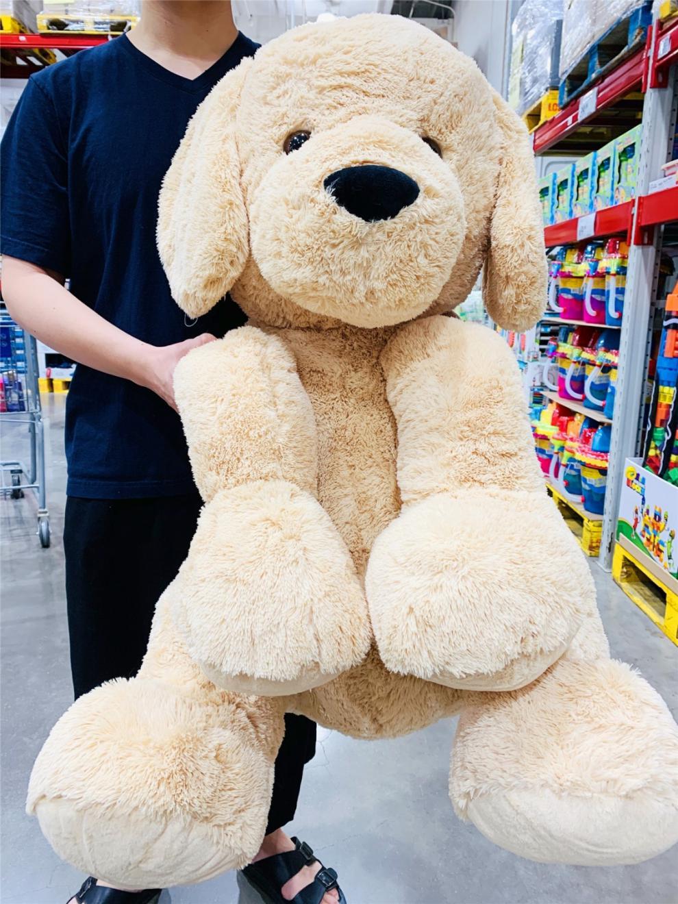 b8225a88811fdc1e1e37573ef4af27f2.jpeg