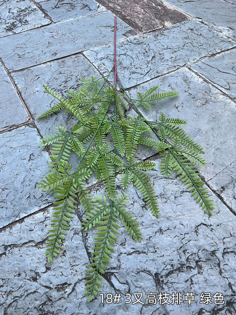 18#-3叉高枝排草-绿色.jpg
