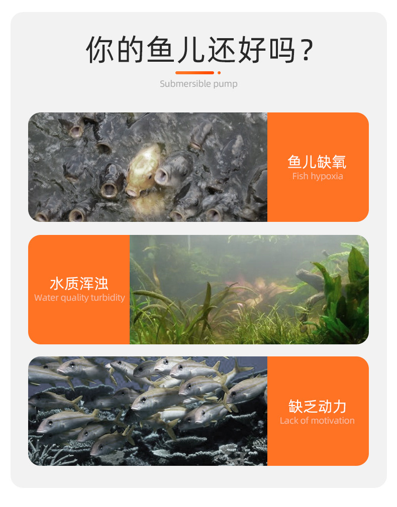详情页_03.jpg