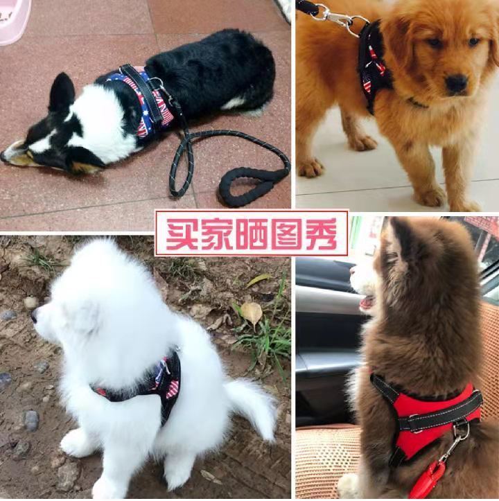 0cd4da77-7d75-437e-85a7-bd0795ebdaa5.jpe